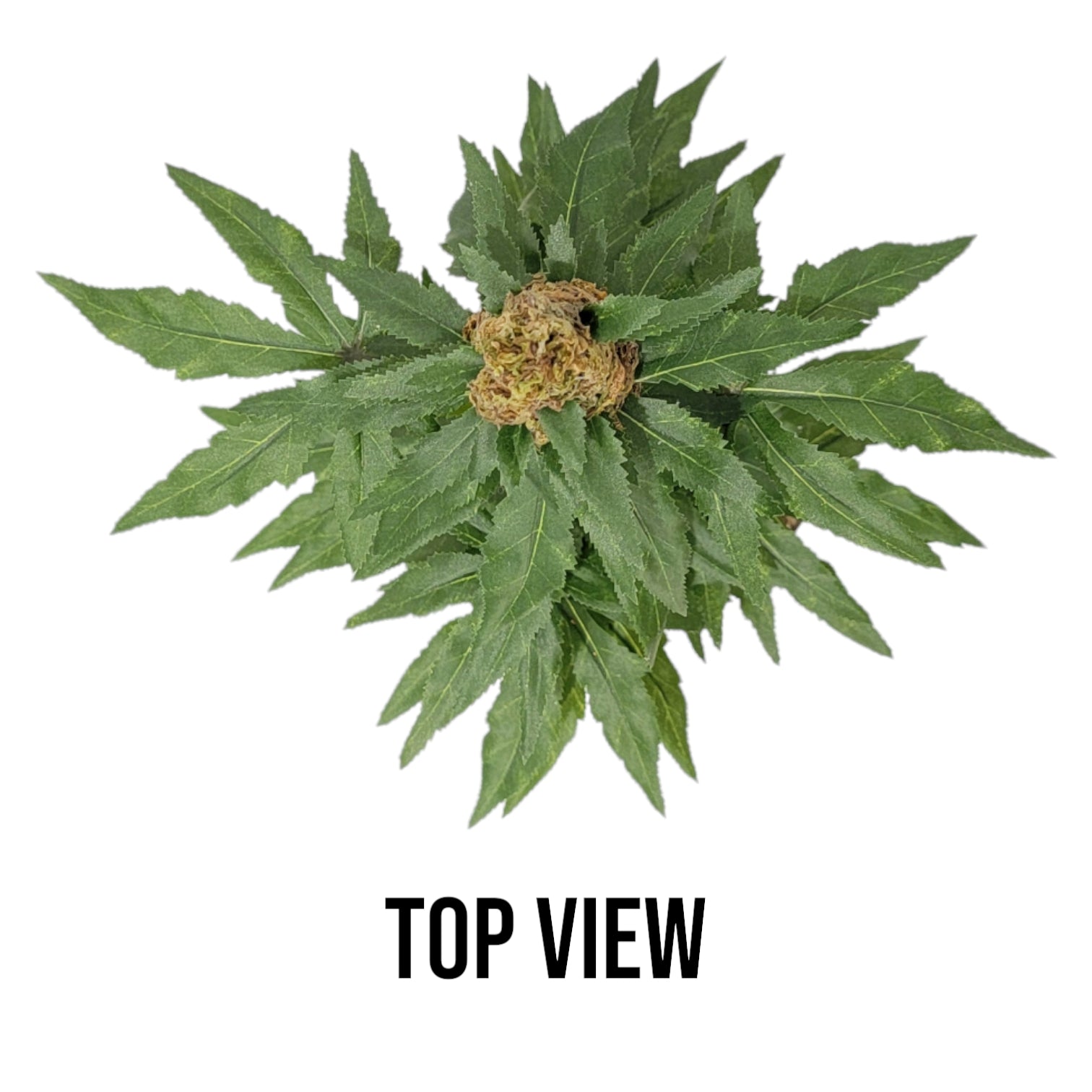 20" Artificial Marijuana Plant | Fake Cannabis Plants | Fake Weed | 420 Decor | Stoner Gifts | Marijuana Accessories | Pot Leaf - FAUX - 20 Decor