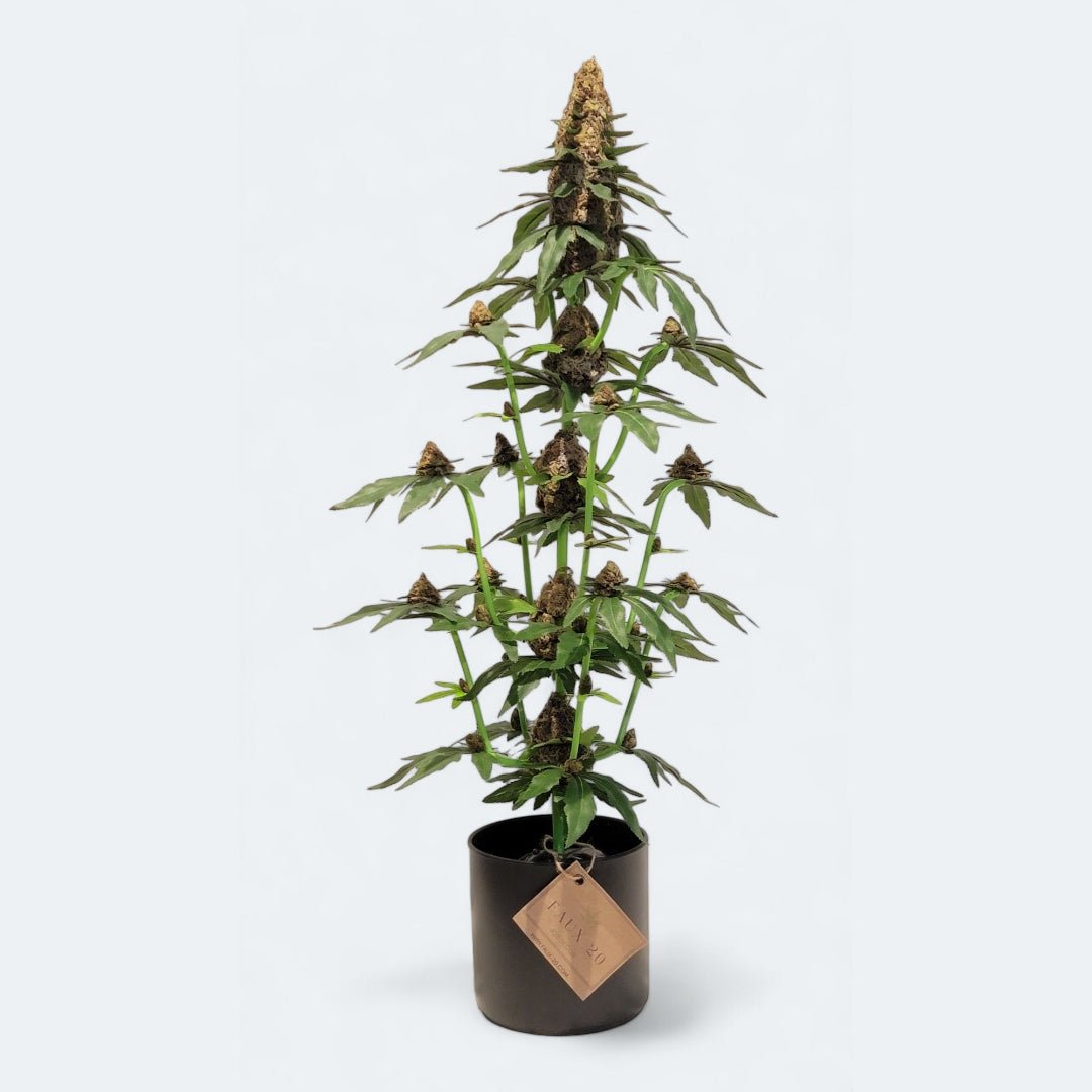 30" Artificial Marijuana Plant - Fake Weed Cannabis Hemp (420) Decoration | FAUX - 20 - FAUX - 20 Decor