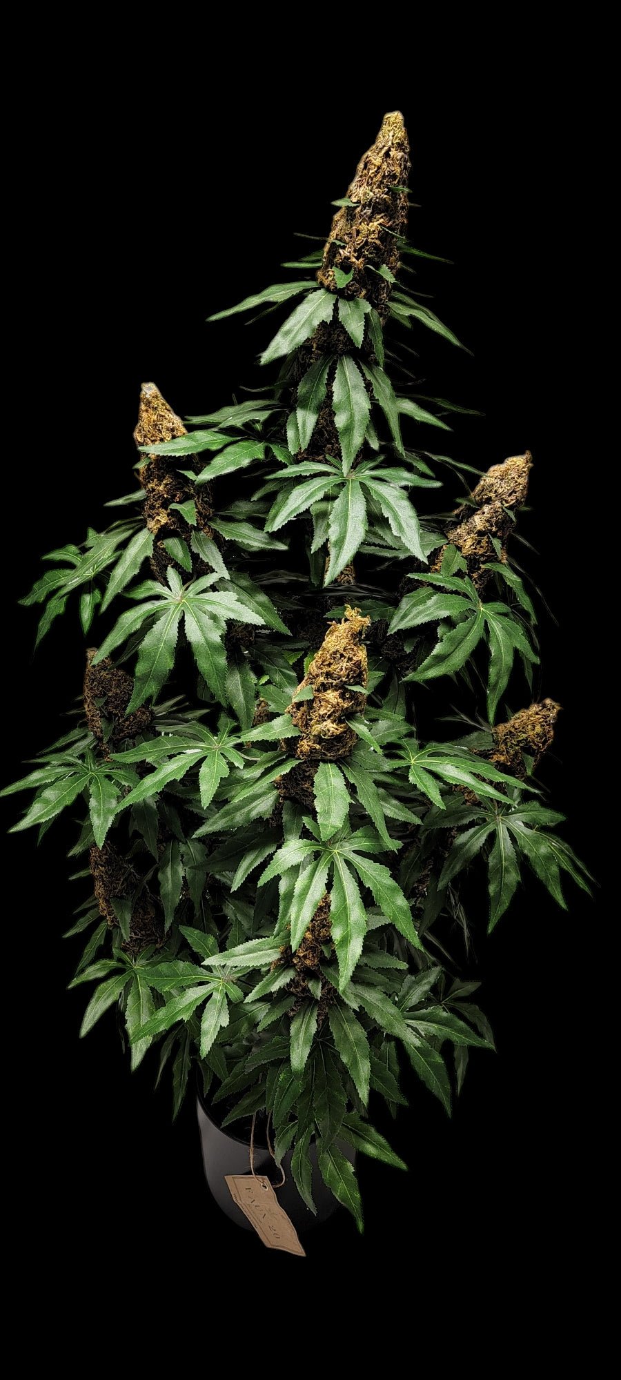 **40" Artificial Marijuana Plant - Autoflower - FAUX - 20 Decor