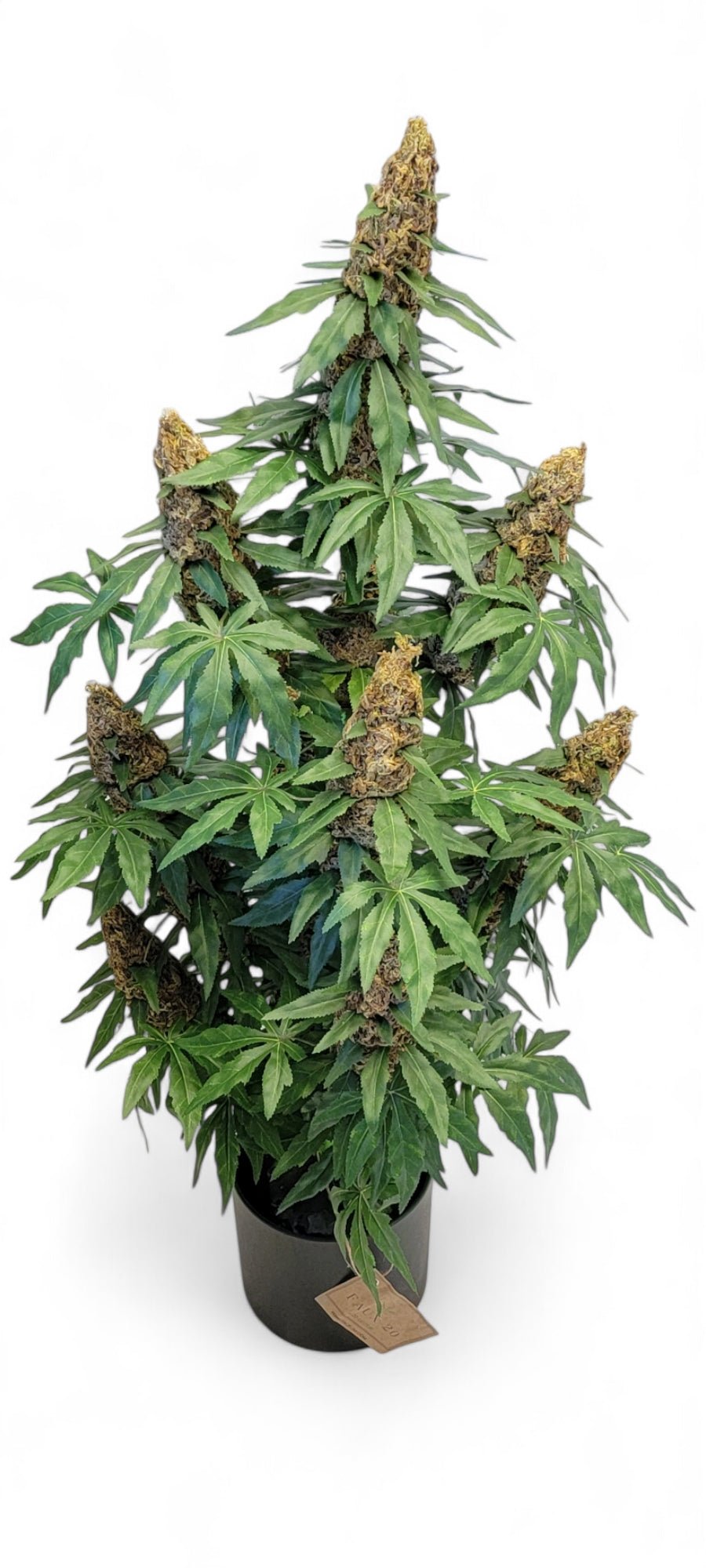 **40" Artificial Marijuana Plant - Autoflower - FAUX - 20 Decor