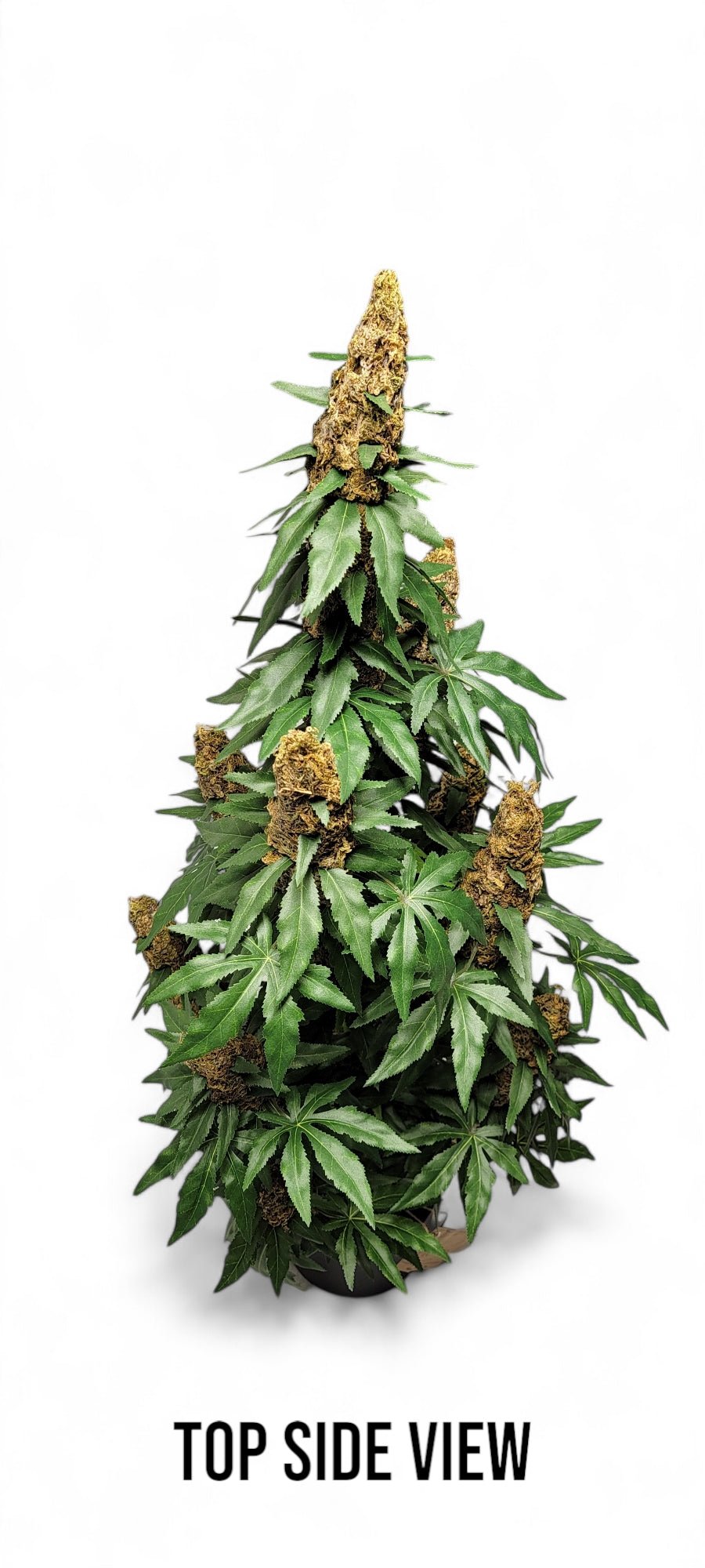 **40" Artificial Marijuana Plant - Autoflower - FAUX - 20 Decor