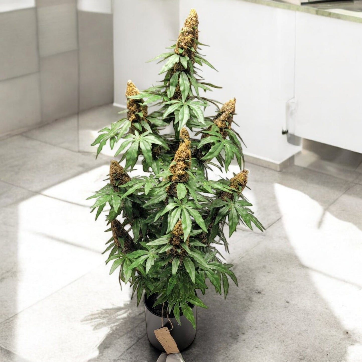 **40" Artificial Marijuana Plant - Autoflower - FAUX - 20 Decor