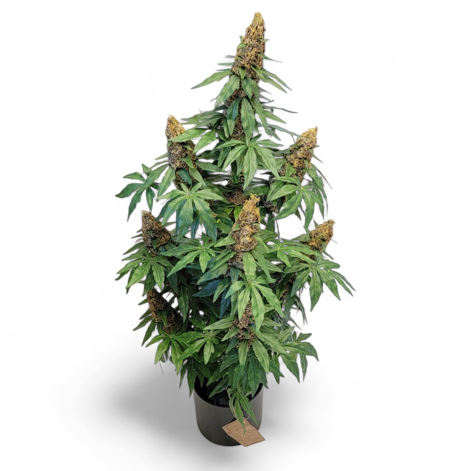 **40" Artificial Marijuana Plant - Autoflower - FAUX - 20 Decor